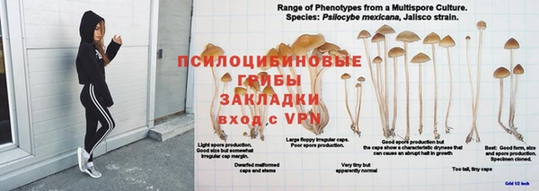 герыч Магас