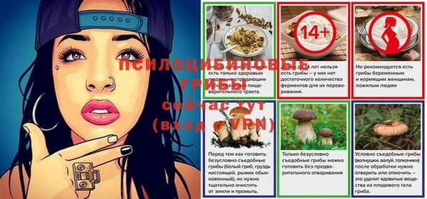 герыч Магас