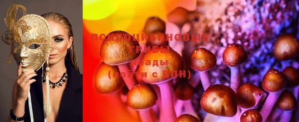 хмурый Майский